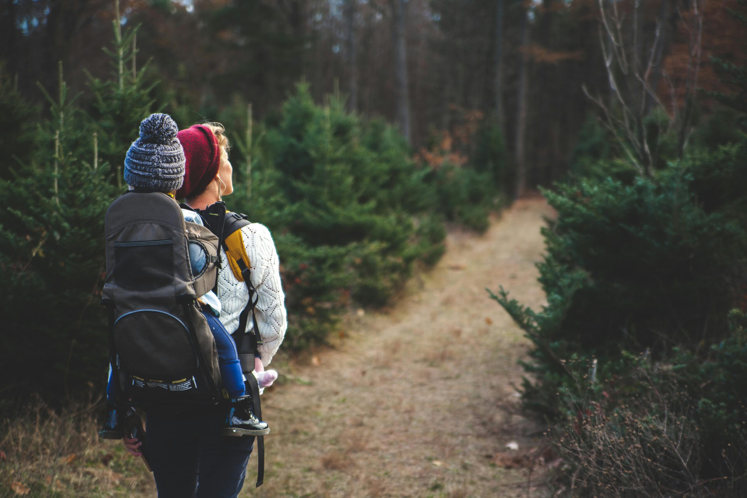 Testseite Full A mother with her child in a carrier backpack hiking through a forest trail on a crisp autumn day.