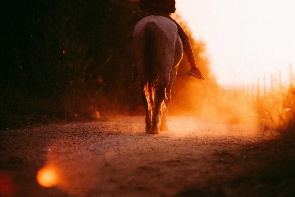 A rider on horseback traverses a dusty trail bathed in warm sunset light, creating a serene and picturesque scene.